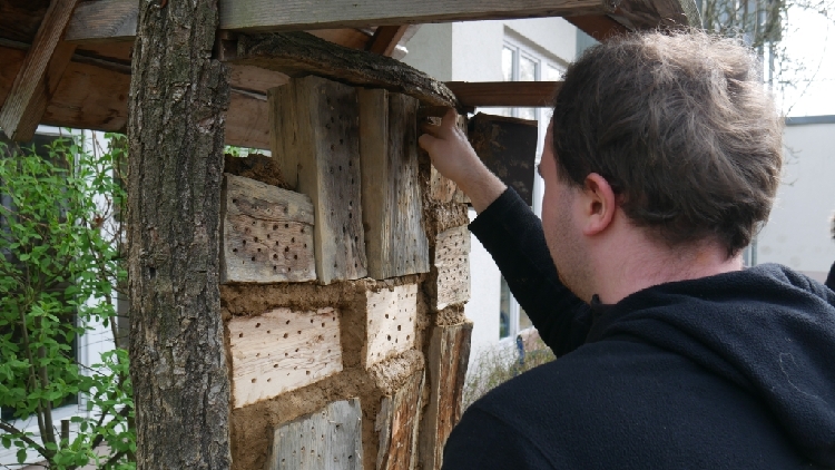 Um die Artenvielfalt erlebar zu machen, eignet sich der Bau von Wildbienennistwänden.